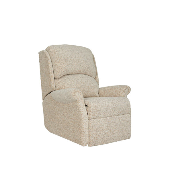 Regent Fabric Fixed Chair
