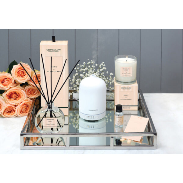 Modern Classics Orris & Ylang Ylang Reed Diffuser 