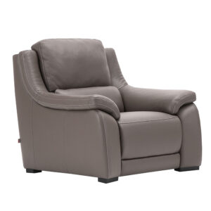 Natasha Chair with Small Arms Electric Recliner - L15