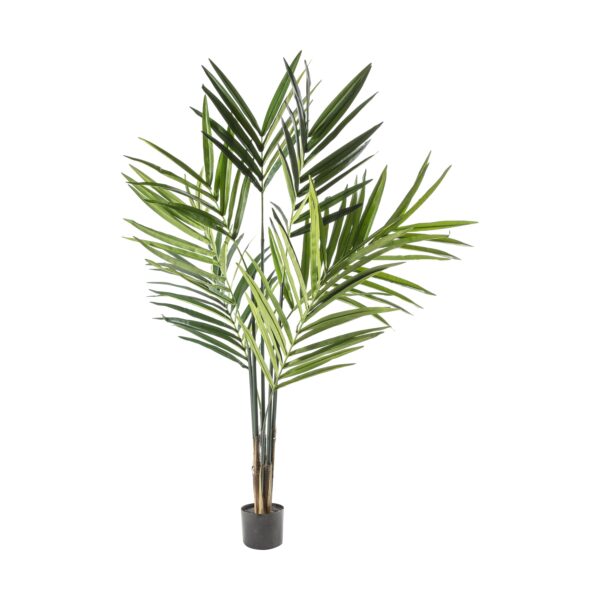 Accessories Kentia Palm Tree
