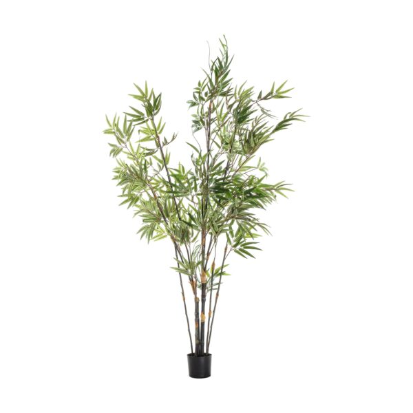 Accessories Bamboo with 859 Leaves - Large