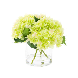 Green Hydrangea in Cylinder Vase