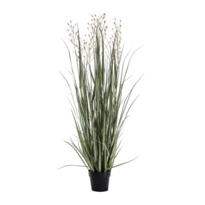 Potted Grass with 9 Heads