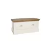 Coelo Small Blanket Chest