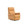 Power Lift Dual Motor Recliner - Dali Leather