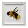 Scruffy Bumblebee II - Liquid Art
