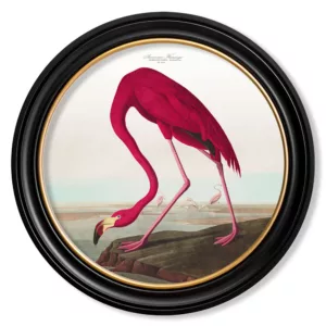 Audubon's American Flamingo Light - Oxford Round - 44cm