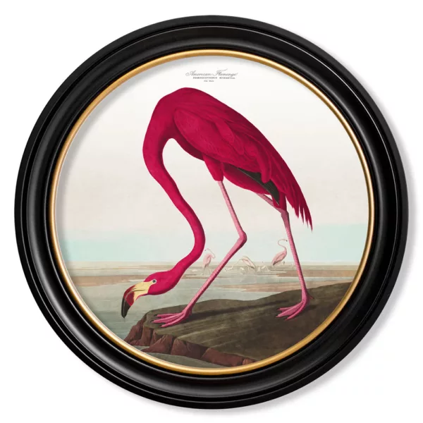 Audubon's American Flamingo Light - Oxford Round - 44cm