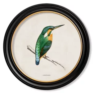 Kingfisher Light - Oxford Round - 44cm