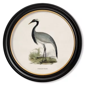 Wandering Birds in Frame - Numidian Crane - Oxford Round - 44cm