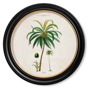 Coconut Palm Light - Oxford Round - 44cm