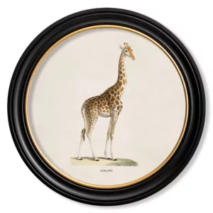 Giraffe Light - Oxford Round - 44cm
