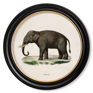 Left Facing Elephant Light - Oxford Round - 44cm