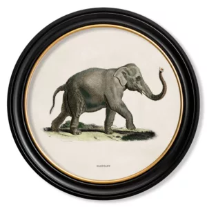 Right Facing Elephant Light - Oxford Round - 44cm