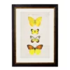 Yellow Butterflies - Oxford Slim Frame - Mounted - A2