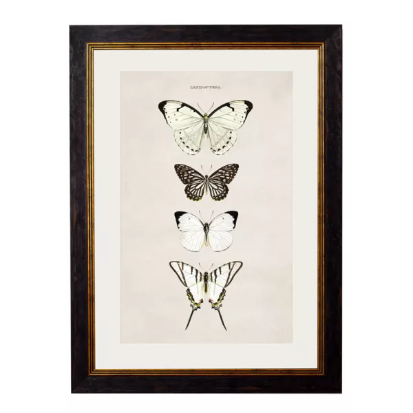 White Butterflies - Oxford Slim Frame - Mounted - A2