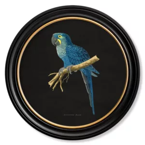 Hyacinthe Macaw Dark - Oxford Round - 44cm