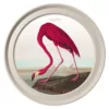 Audubon's American Flamingo Light - Chester Grey Frame - 70cm