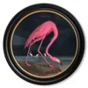 Audubon's Flamingo Dark - Oxford Round - 70cm