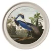 Audubon's Louisiana Heron Light - Chester Grey Frame - 70cm