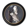 Audubon's Snowy Owl - Oxford Round - 44cm