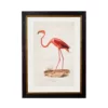 Flamingo - Oxford Slim Frame - Mounted - A3