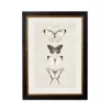 White Butterflies - Oxford Slim Frame - Mounted - A3