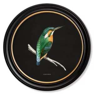 Kingfisher Dark - Oxford Round - 44cm