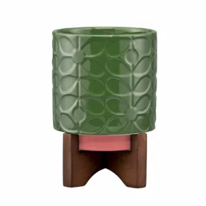 Ceramic Plant Pot with Wooden Stand-Fern