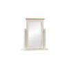 Taunton Painted Oak Single Vanity Mirror