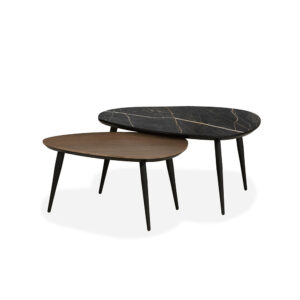 Nelson Set of 2 Coffee Tables